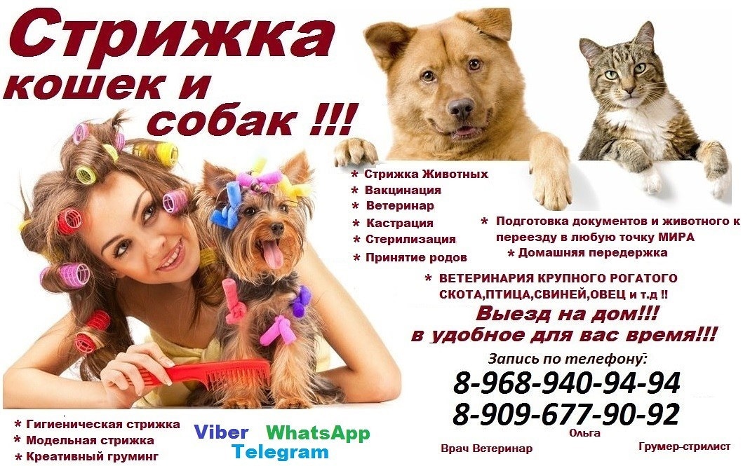 Сахарозаменитель