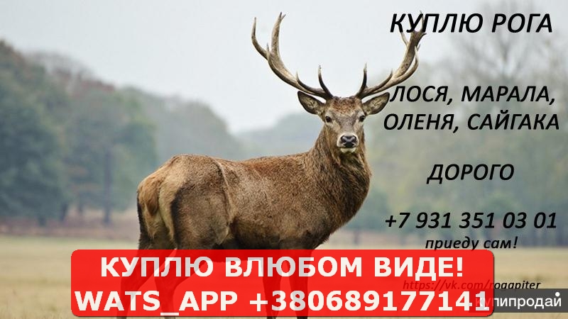 Принимаем б/у аккумуляторы