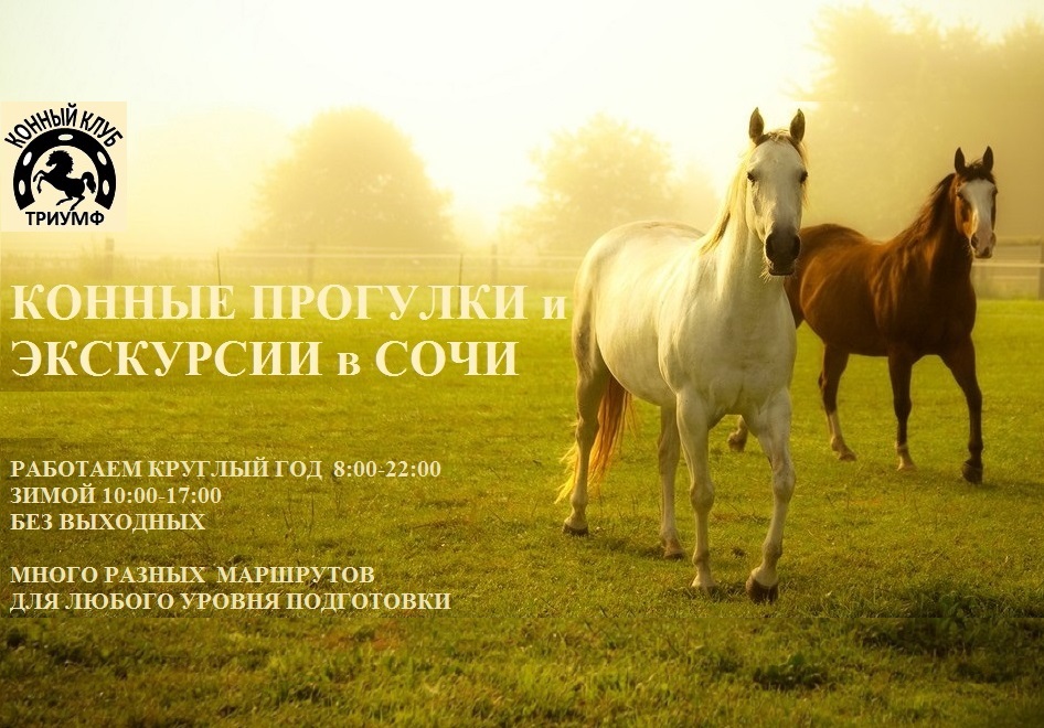 Кредиты онлайн! просто! быстро! удобно!