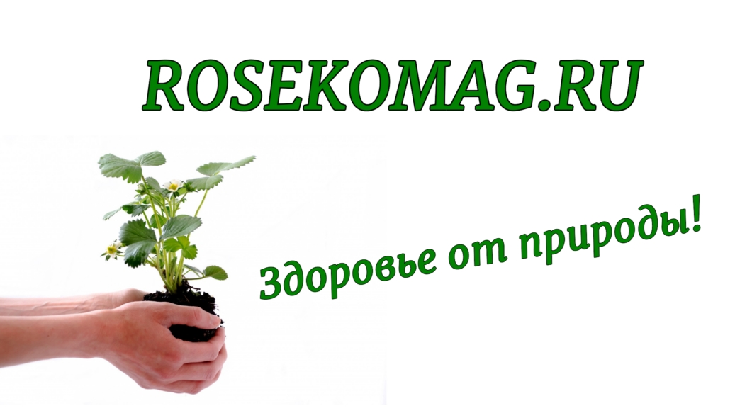 Брусовые дома, бани, бытовки