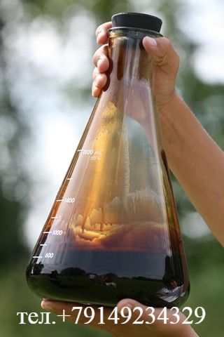Организация праздника